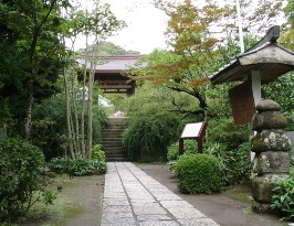 kaizoji1