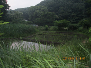 夕闇迫る中央公園